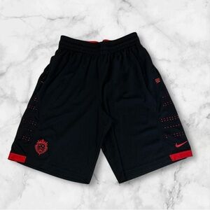 Nike LeBron James Men’s Black /red Basketball Shorts Lion Logo Size M